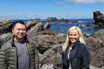 THE TOP 10 Wellington Tours, Sightseeing & Cruises (w/Prices).